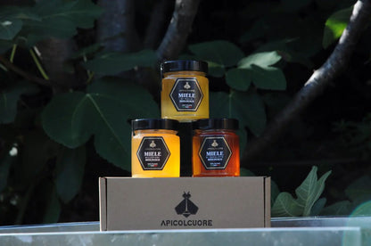 Miele di Eucalipto Kalypso BIOLOGICO