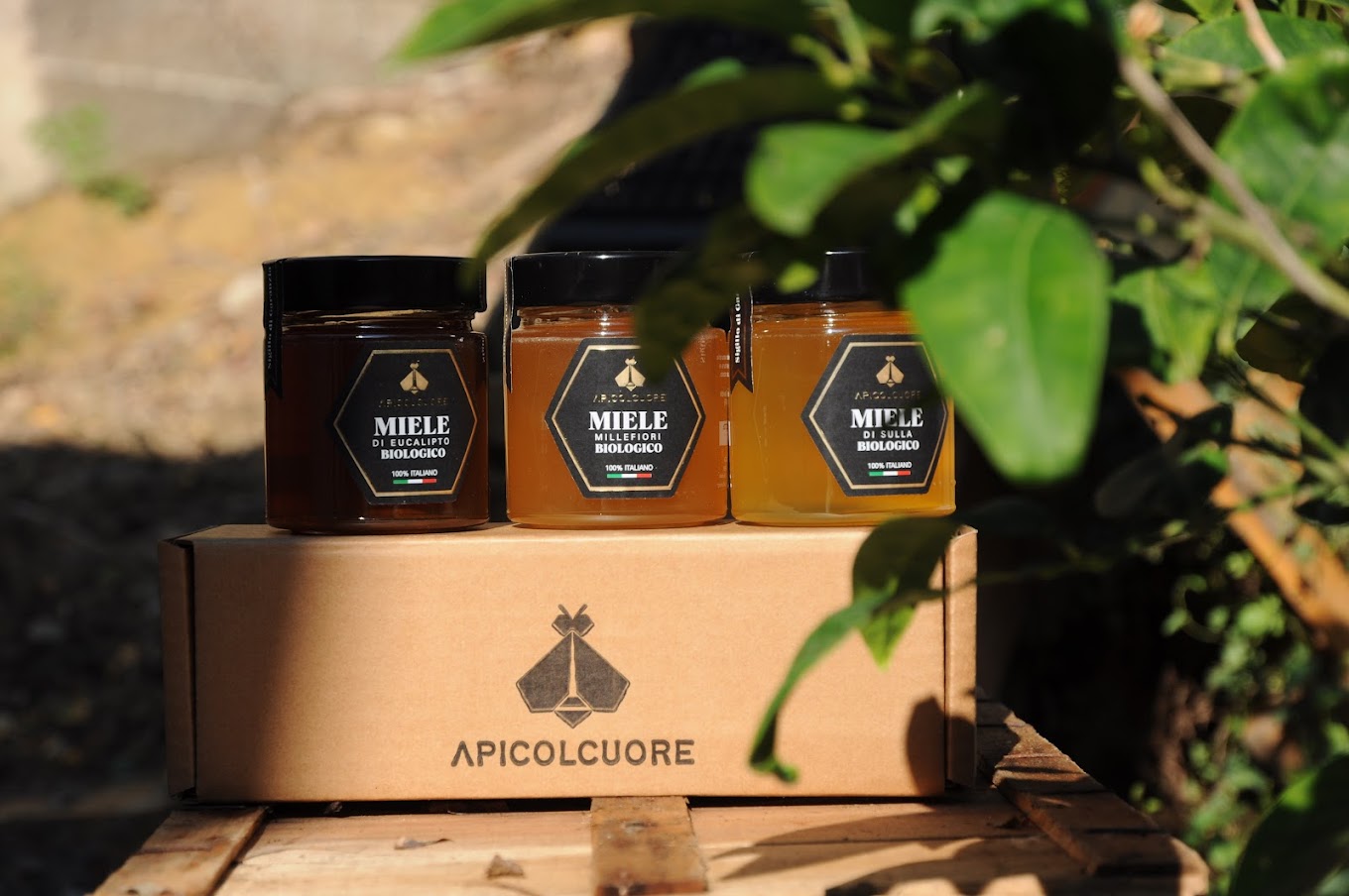 Miele Millefiori BIOLOGICO