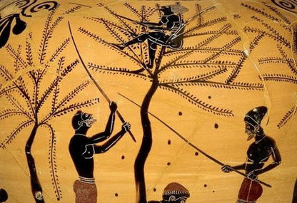 Olio Extra Vergine di Oliva BIO da 5 l - Olio